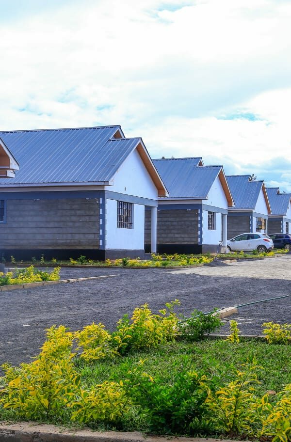 WhatsApp Image 2022-12-13 at 11.54.40